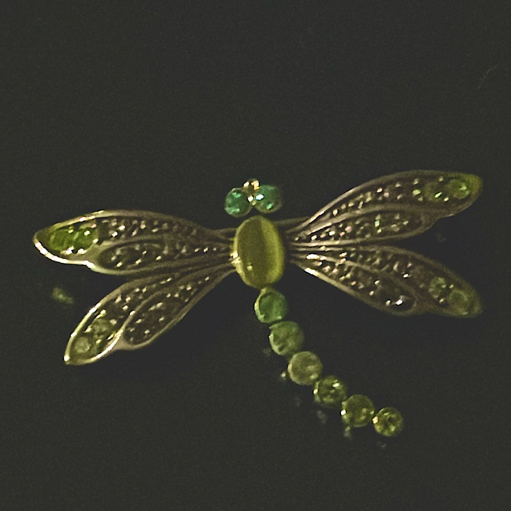 Vintage Liz Claiborne dragonfly brooch